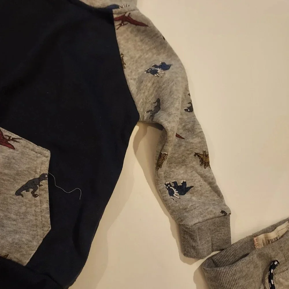 Free Plant Baby Boy 2 Piece Dinosaur Theme Hoodie and Jogger Set in Size 24M
